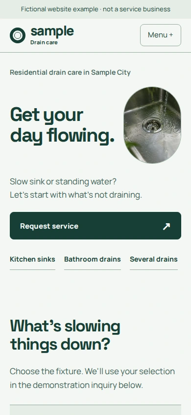 After: actual fictional drain-care website captured at 390 by 844 pixels.